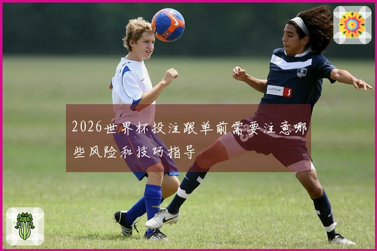2026世界杯投注跟单前需要注意哪些风险和技巧指导