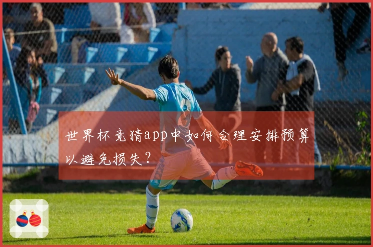 世界杯竞猜app中如何合理安排预算以避免损失？