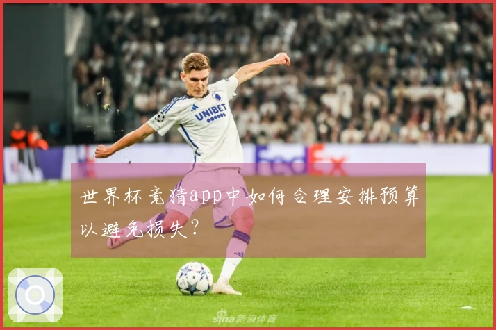 世界杯竞猜app中如何合理安排预算以避免损失?